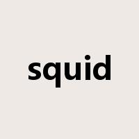 squid是什么意思