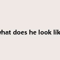 what does he look like是什么意思