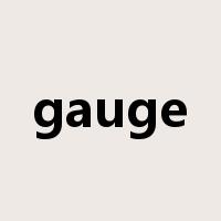 gauge是什么意思