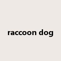 raccoon dog是什么意思