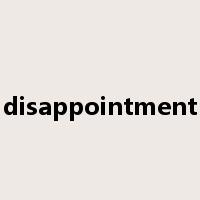 disappointment是什么意思