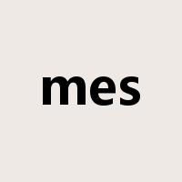 mes是什么意思