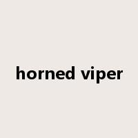 horned viper是什么意思