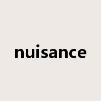 nuisance是什么意思