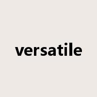 versatile是什么意思