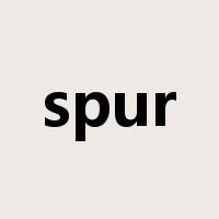 spur是什么意思