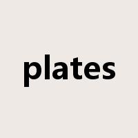 plates是什么意思