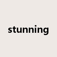 stunning是什么意思