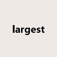 largest是什么意思