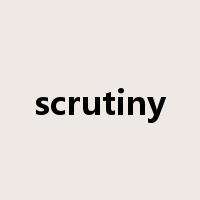 scrutiny是什么意思