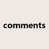 comments是什么意思