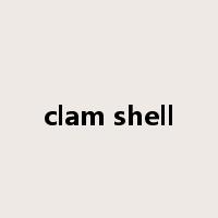 clam shell是什么意思