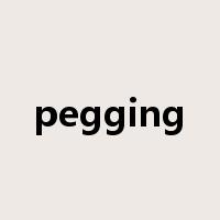 pegging是什么意思