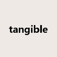 tangible是什么意思