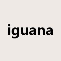iguana是什么意思
