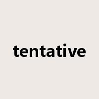 tentative是什么意思