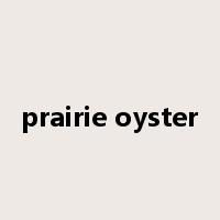 prairie oyster是什么意思