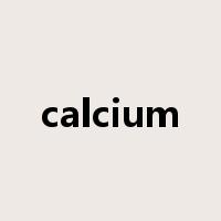 calcium是什么意思