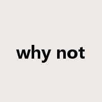 why not是什么意思