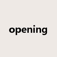 opening是什么意思