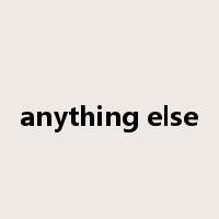 anything else是什么意思