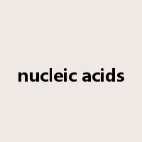 nucleic acids是什么意思