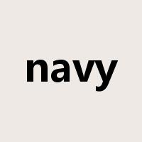 navy是什么意思