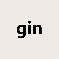 gin是什么意思