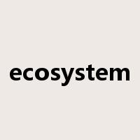 ecosystem是什么意思