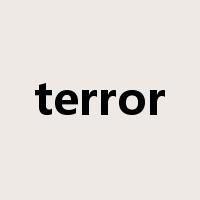 terror是什么意思