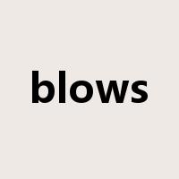 blows是什么意思