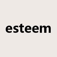esteem是什么意思