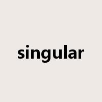 singular是什么意思