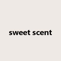 sweet scent是什么意思