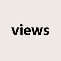 views是什么意思