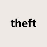 theft是什么意思