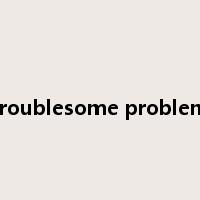 troublesome problem是什么意思