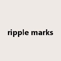 ripple marks是什么意思
