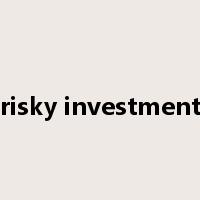 risky investment是什么意思
