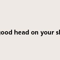 have a good head on your shoulders是什么意思