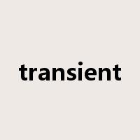 transient是什么意思