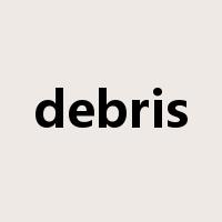 debris是什么意思
