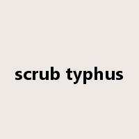 scrub typhus是什么意思