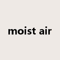 moist air是什么意思