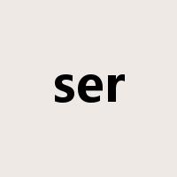 ser是什么意思