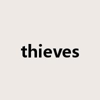 thieves是什么意思