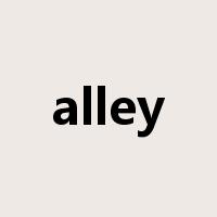 alley是什么意思