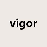vigor是什么意思