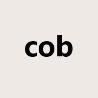 cob是什么意思