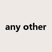 any other是什么意思